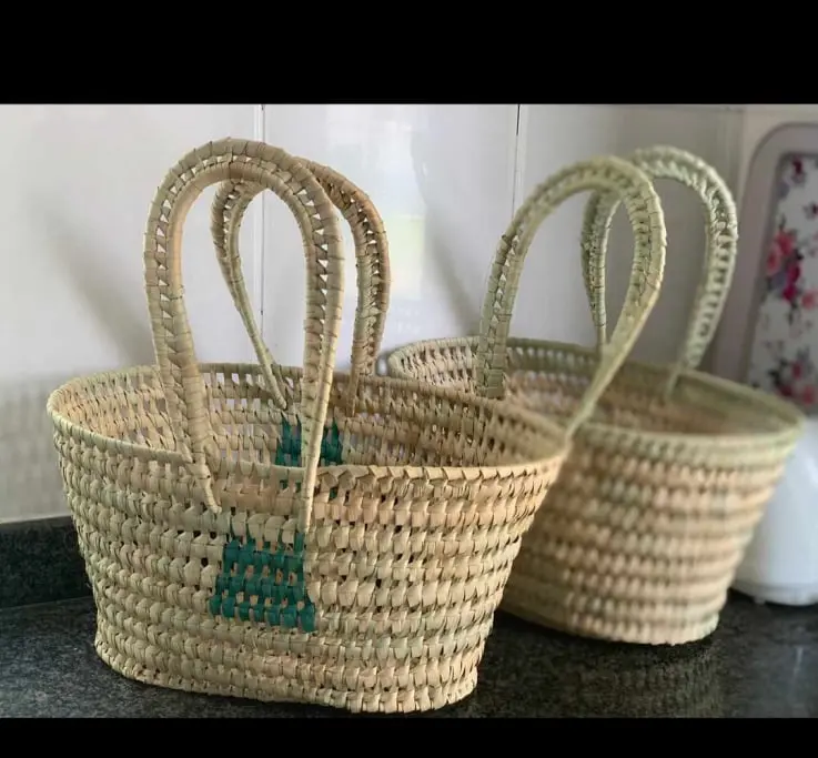 picnic_bags